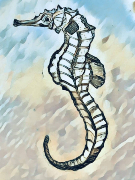 Restaurant Le Golfe - ZONZA - Restaurant plage Pinarello - Restaurant Pinarellu